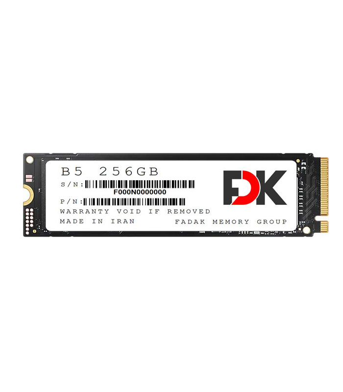 SSD-M2-B5-SERIES-256GB